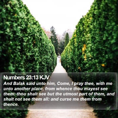 Numbers 23:13 KJV Bible Verse Image
