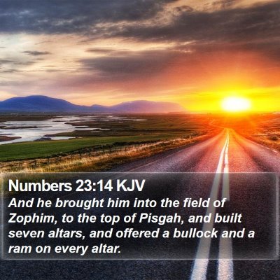 Numbers 23:14 KJV Bible Verse Image