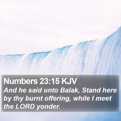 Numbers 23:15 KJV Bible Verse Image
