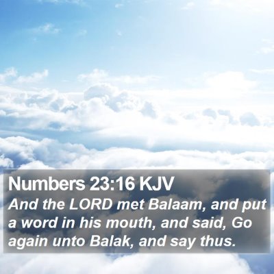 Numbers 23:16 KJV Bible Verse Image