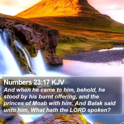 Numbers 23:17 KJV Bible Verse Image