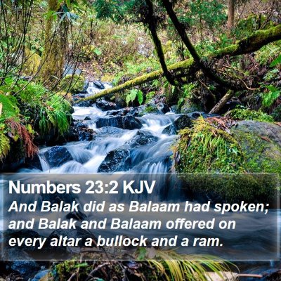 Numbers 23:2 KJV Bible Verse Image