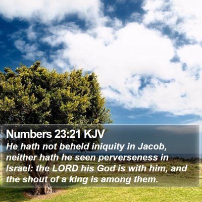 Numbers 23:21 KJV Bible Verse Image