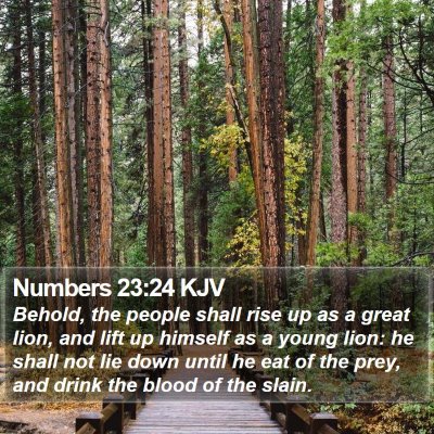 Numbers 23:24 KJV Bible Verse Image