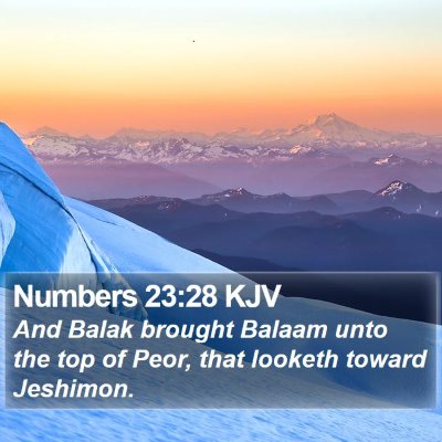 Numbers 23:28 KJV Bible Verse Image