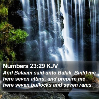 Numbers 23:29 KJV Bible Verse Image