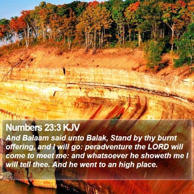 Numbers 23:3 KJV Bible Verse Image