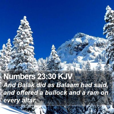 Numbers 23:30 KJV Bible Verse Image