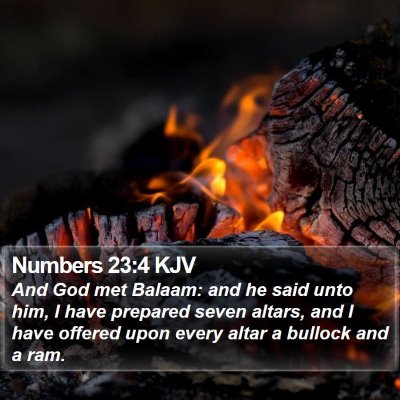Numbers 23:4 KJV Bible Verse Image