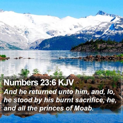 Numbers 23:6 KJV Bible Verse Image