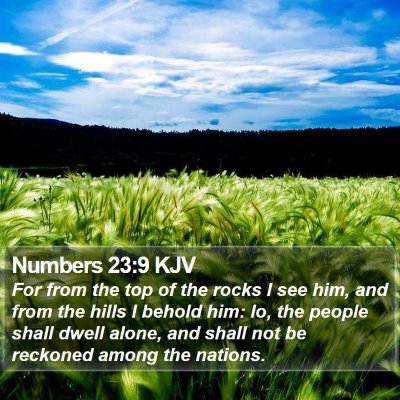 Numbers 23:9 KJV Bible Verse Image