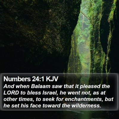 Numbers 24:1 KJV Bible Verse Image