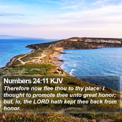 Numbers 24:11 KJV Bible Verse Image