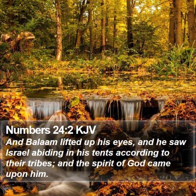 Numbers 24:2 KJV Bible Verse Image