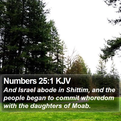 Numbers 25:1 KJV Bible Verse Image