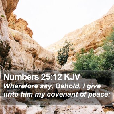 Numbers 25:12 KJV Bible Verse Image