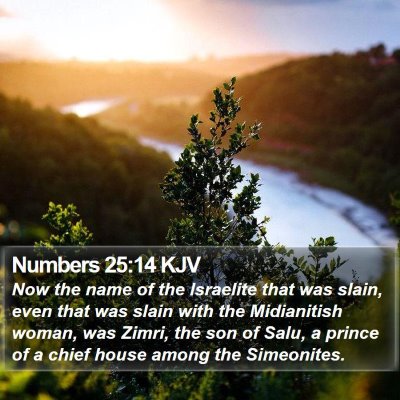 Numbers 25:14 KJV Bible Verse Image