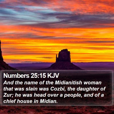 Numbers 25:15 KJV Bible Verse Image