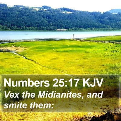 Numbers 25:17 KJV Bible Verse Image