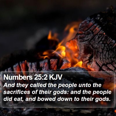 Numbers 25:2 KJV Bible Verse Image