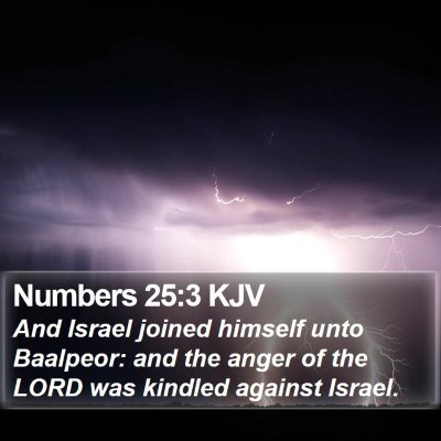 Numbers 25:3 KJV Bible Verse Image