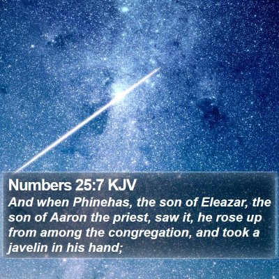 Numbers 25:7 KJV Bible Verse Image