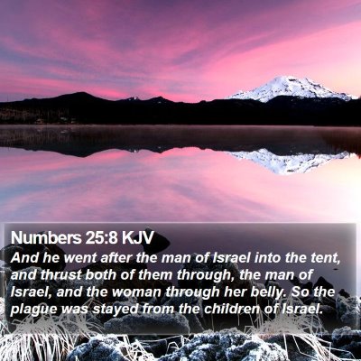Numbers 25:8 KJV Bible Verse Image