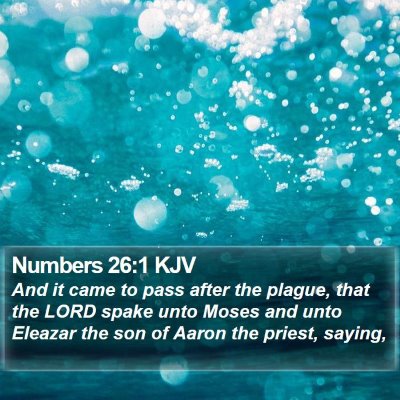 Numbers 26:1 KJV Bible Verse Image