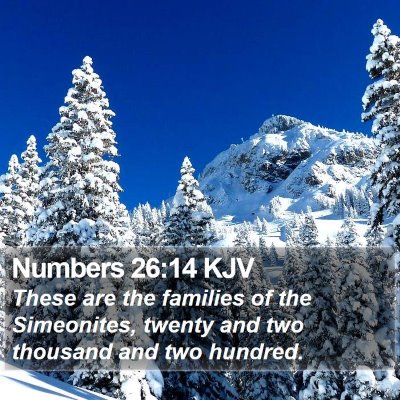 Numbers 26:14 KJV Bible Verse Image