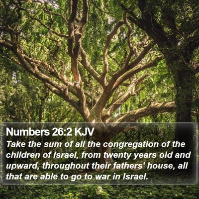 Numbers 26:2 KJV Bible Verse Image