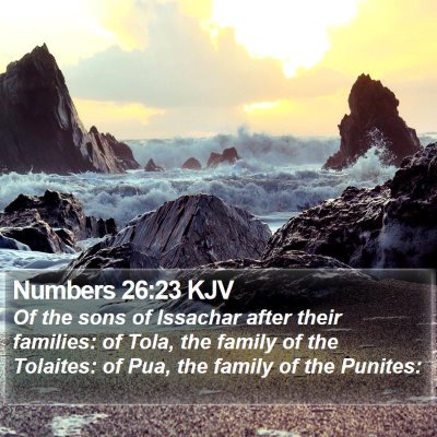 Numbers 26:23 KJV Bible Verse Image