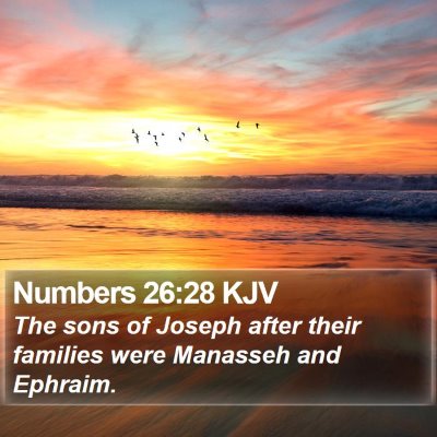 Numbers 26:28 KJV Bible Verse Image