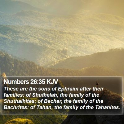 Numbers 26:35 KJV Bible Verse Image