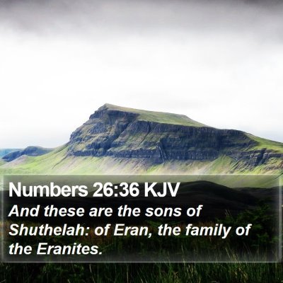 Numbers 26:36 KJV Bible Verse Image