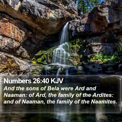 Numbers 26:40 KJV Bible Verse Image