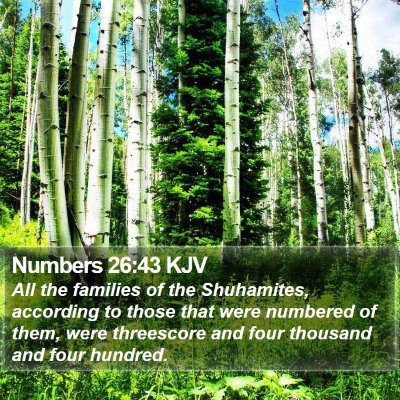 Numbers 26:43 KJV Bible Verse Image