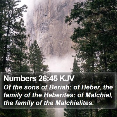 Numbers 26:45 KJV Bible Verse Image