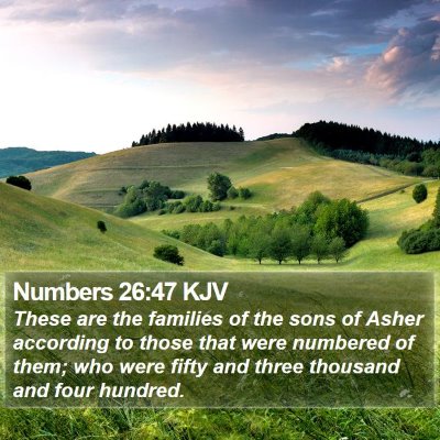 Numbers 26:47 KJV Bible Verse Image