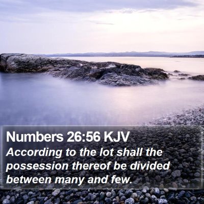 Numbers 26:56 KJV Bible Verse Image