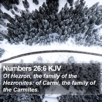 Numbers 26:6 KJV Bible Verse Image