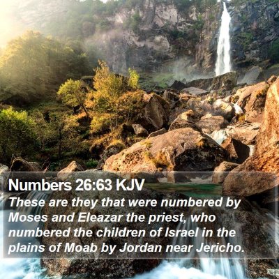 Numbers 26:63 KJV Bible Verse Image