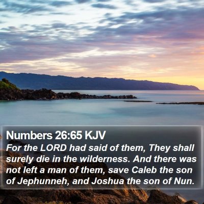 Numbers 26:65 KJV Bible Verse Image
