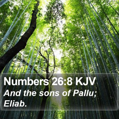 Numbers 26:8 KJV Bible Verse Image