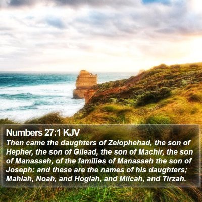 Numbers 27:1 KJV Bible Verse Image
