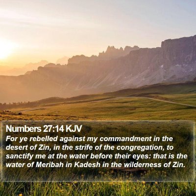 Numbers 27:14 KJV Bible Verse Image