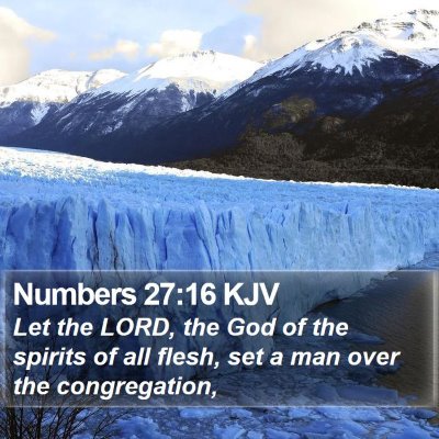 Numbers 27:16 KJV Bible Verse Image