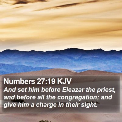 Numbers 27:19 KJV Bible Verse Image