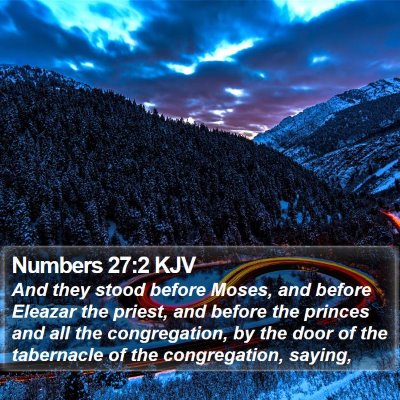 Numbers 27:2 KJV Bible Verse Image