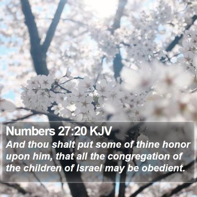 Numbers 27:20 KJV Bible Verse Image