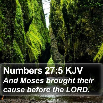Numbers 27:5 KJV Bible Verse Image